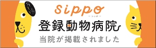 朝日新聞Sipoo